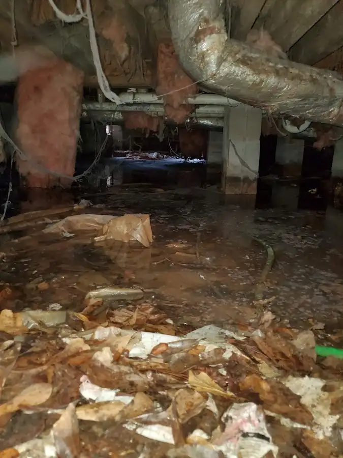 Crawl space flood assessment for Leak Detection & Repair in West New York