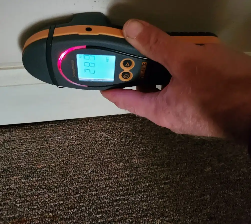 Moisture detection at baseboard during Sewage Cleanup & Sanitation in West New York